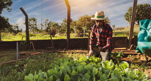 MOOC Course on Organic Farming